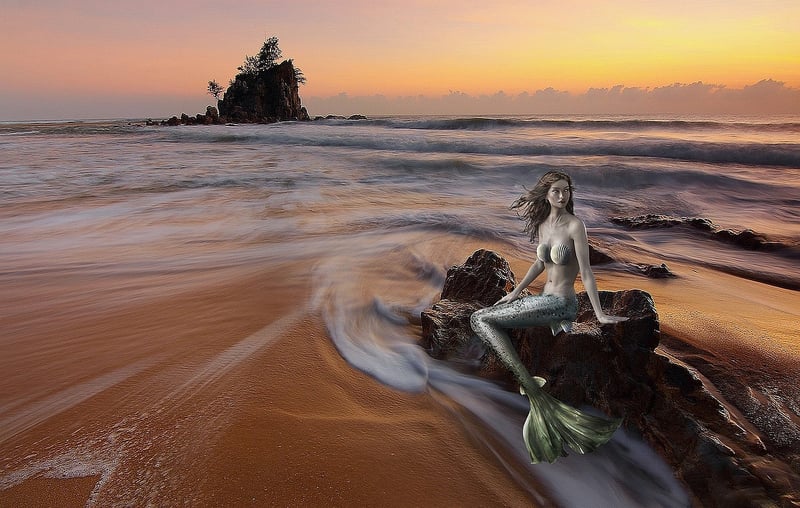Mermaid in the Waters